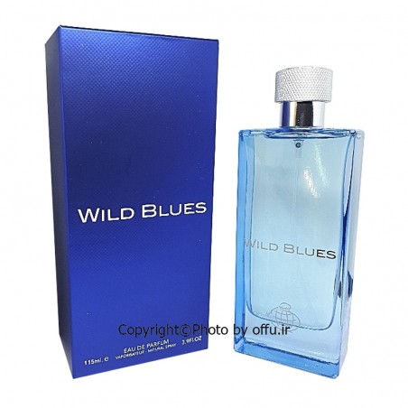 ادو پرفيوم مردانه فراگرنس ورد مدل ویلد بلوز | Fragrance World Wild Blues|فروشگاه تخفیفی آف یو 